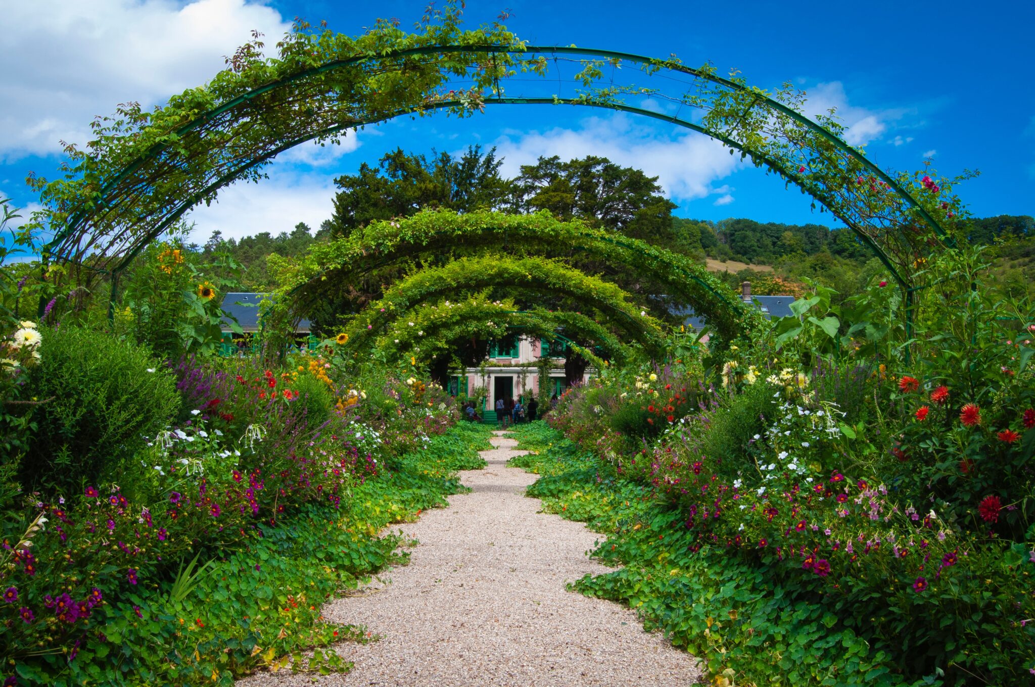 Garden Arch Trellises